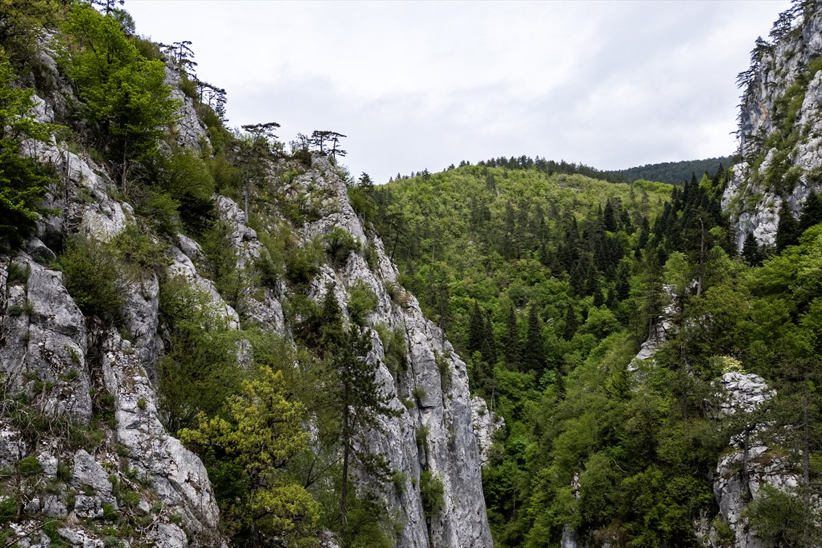 Kastamonu’da keşfedilmeyi bekleyen cennet Horma Kanyonu