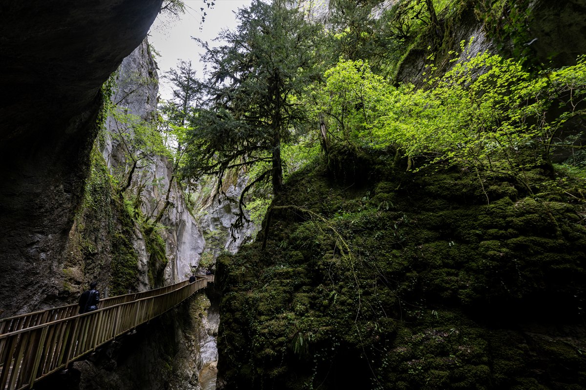 Kastamonu’da keşfedilmeyi bekleyen cennet Horma Kanyonu