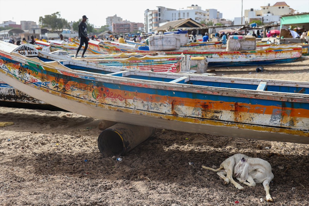 Senegal’de Kurban Bayramı hazırlıkları sokakları hareketlendirdi