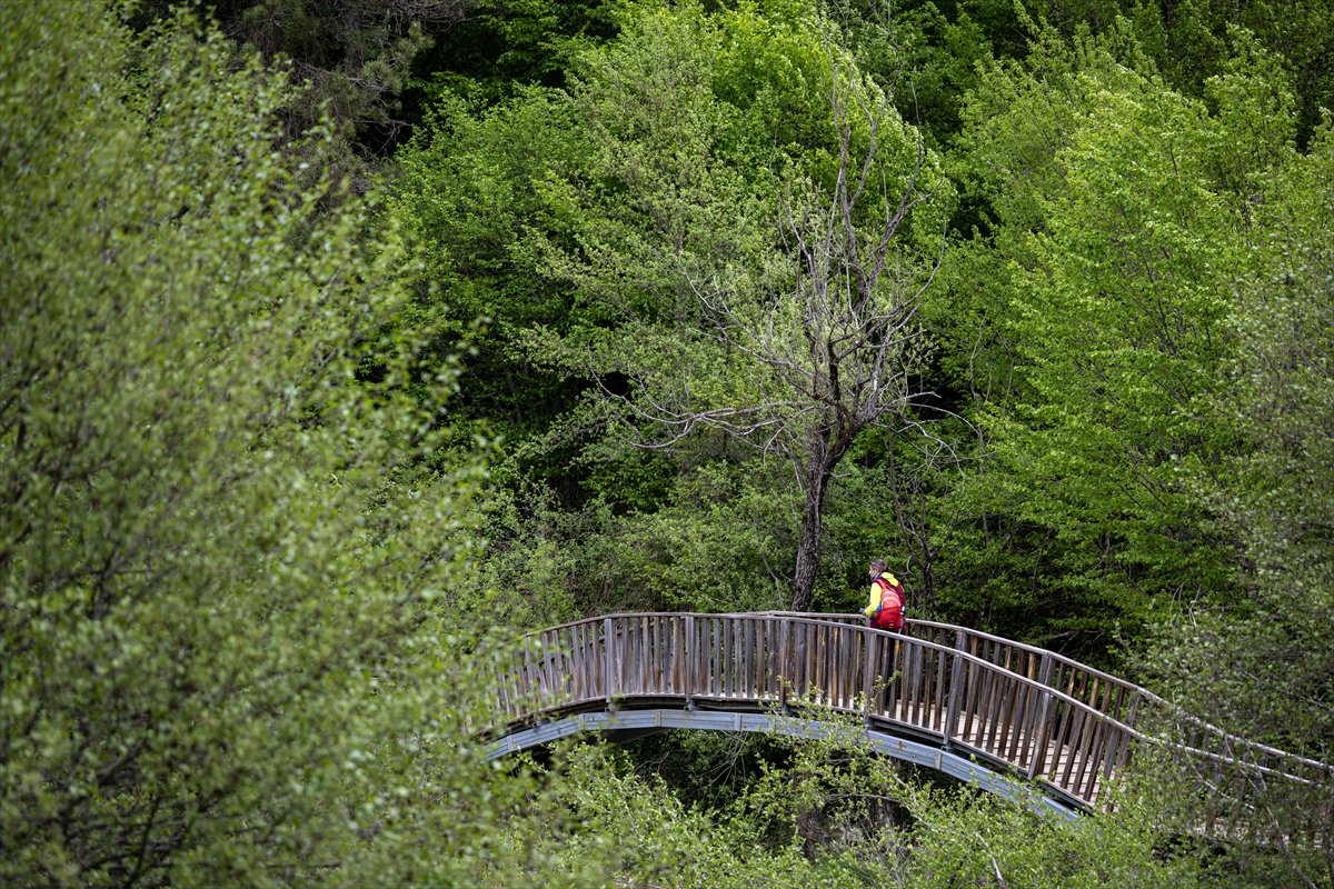 Kastamonu’da keşfedilmeyi bekleyen cennet Horma Kanyonu