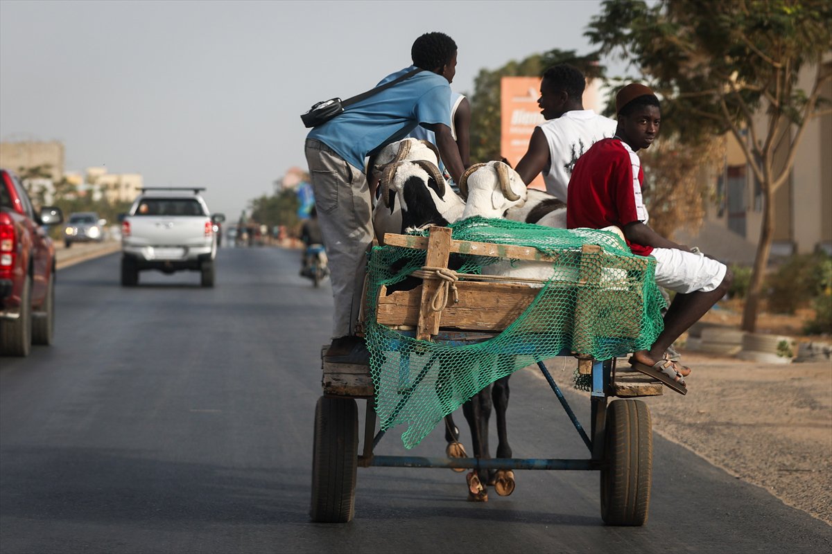 Senegal’de Kurban Bayramı hazırlıkları sokakları hareketlendirdi