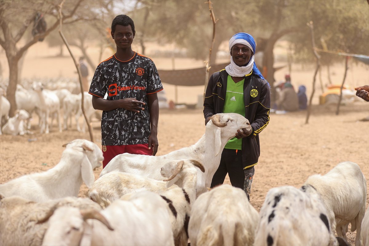 Senegal’de Kurban Bayramı hazırlıkları sokakları hareketlendirdi