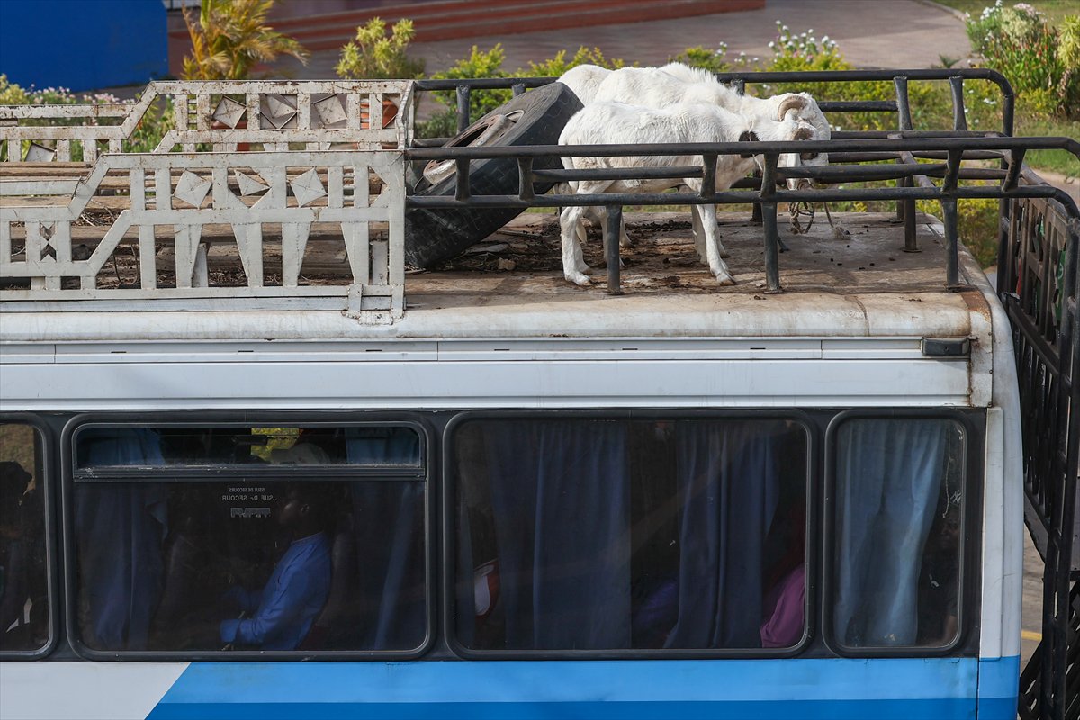 Senegal’de Kurban Bayramı hazırlıkları sokakları hareketlendirdi