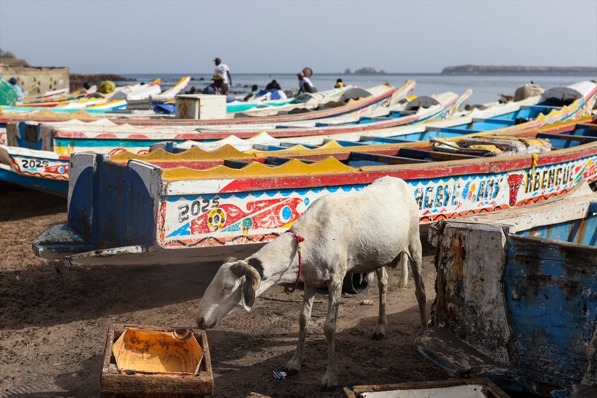 Senegal’de Kurban Bayramı hazırlıkları sokakları hareketlendirdi