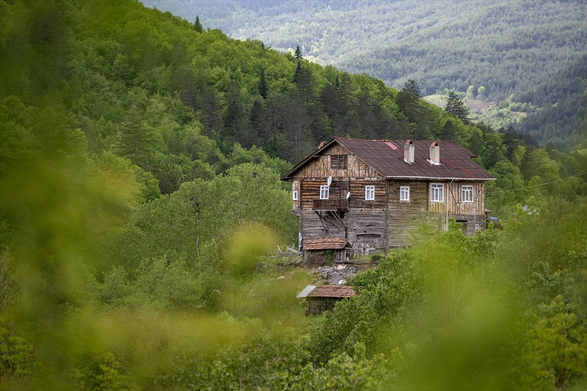 Kastamonu’da keşfedilmeyi bekleyen cennet Horma Kanyonu