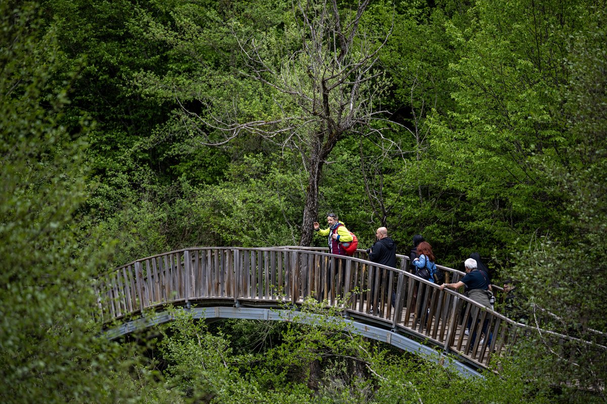Kastamonu’da keşfedilmeyi bekleyen cennet Horma Kanyonu