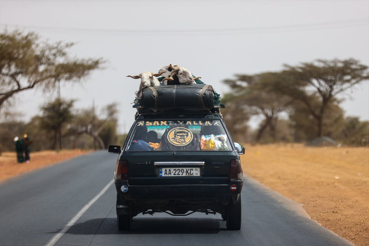 Senegal’de Kurban Bayramı hazırlıkları sokakları hareketlendirdi