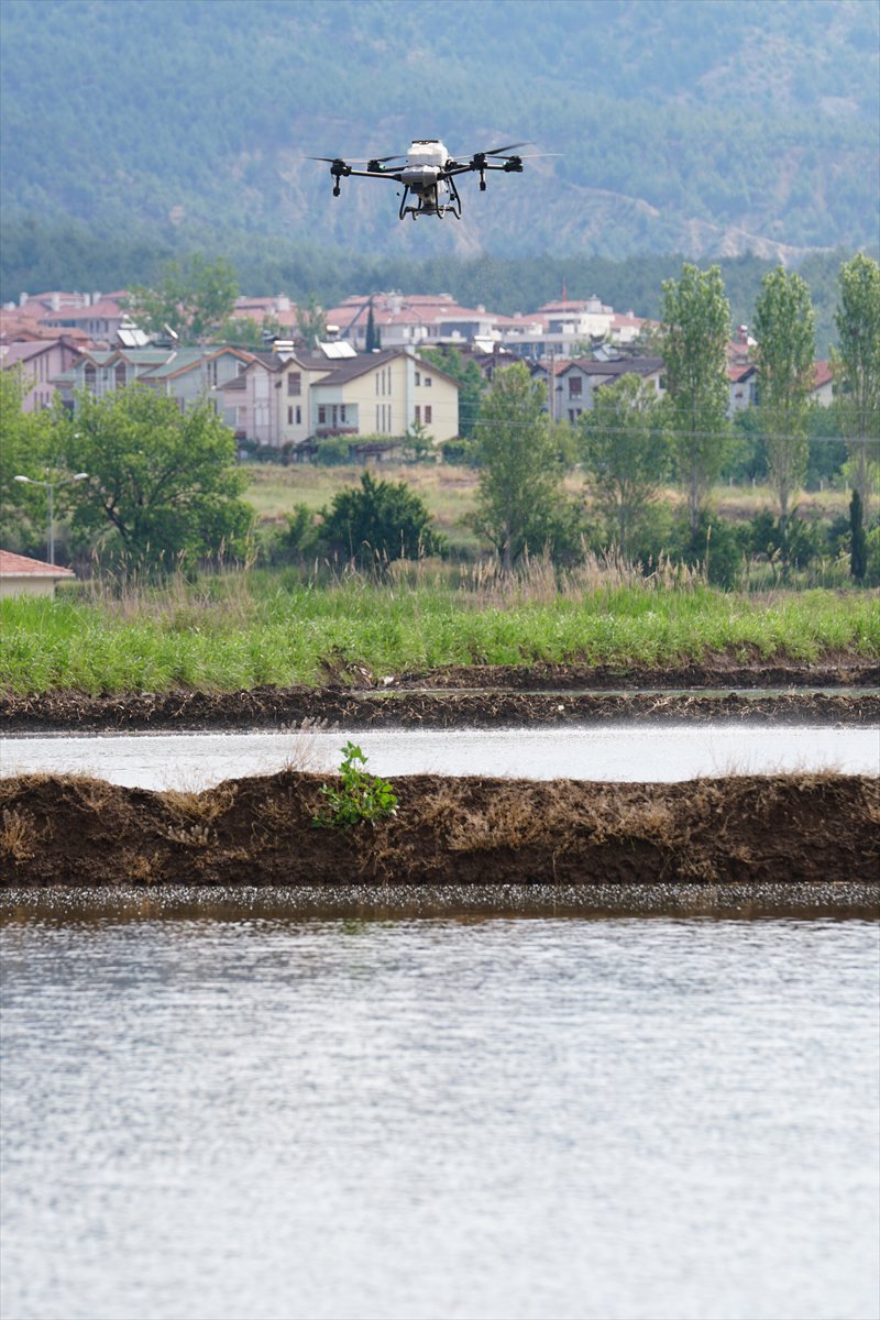 Tarlaları drone'lar ekiyor
