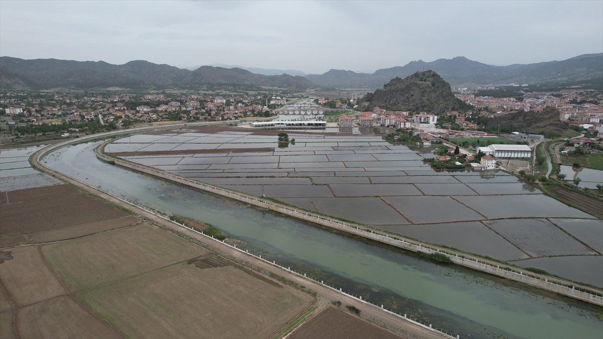 Tarlaları drone'lar ekiyor