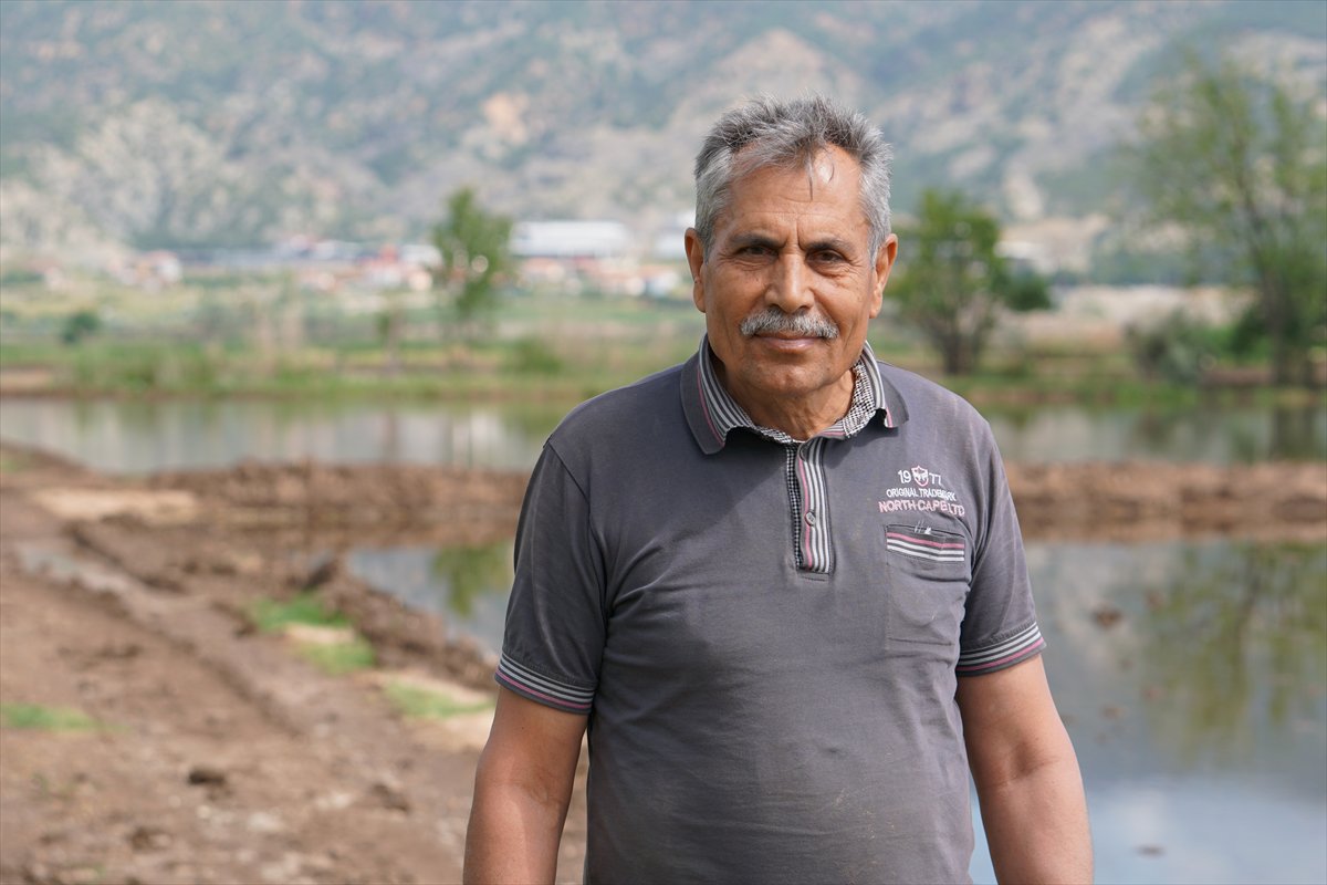 Tarlaları drone'lar ekiyor