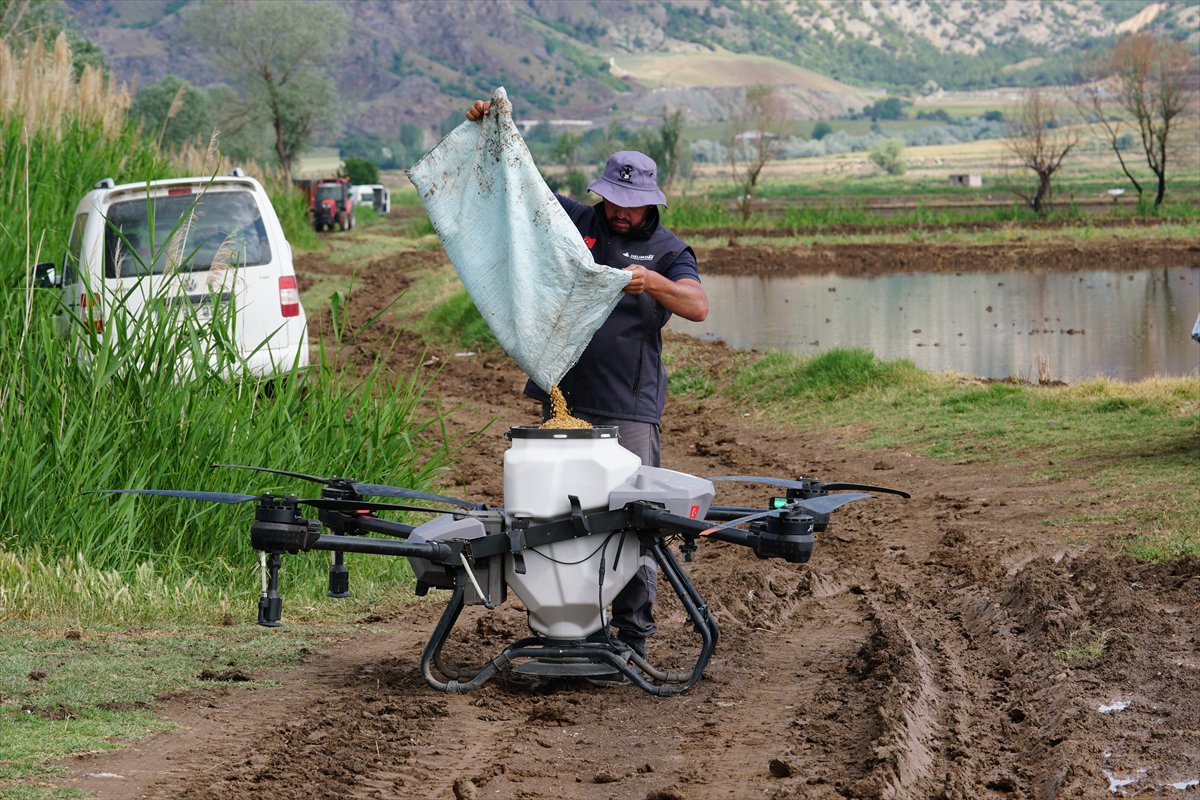 Tarlaları drone'lar ekiyor