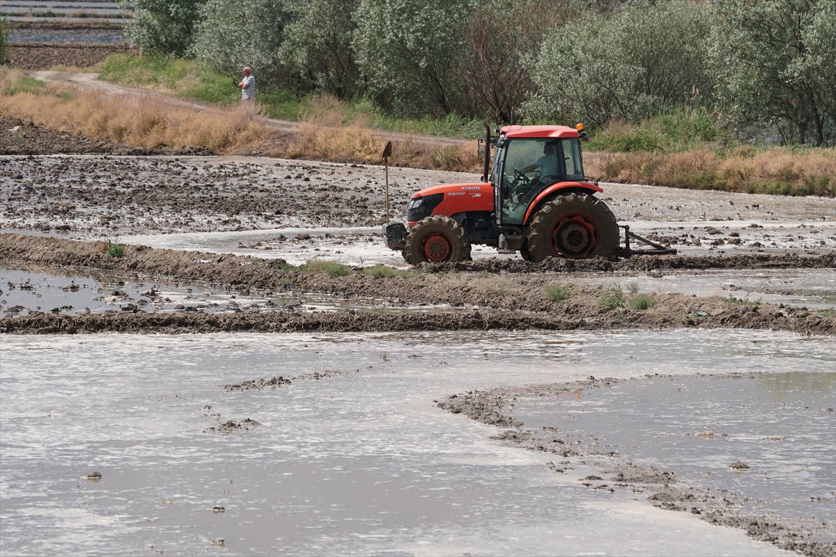Tarlaları drone'lar ekiyor
