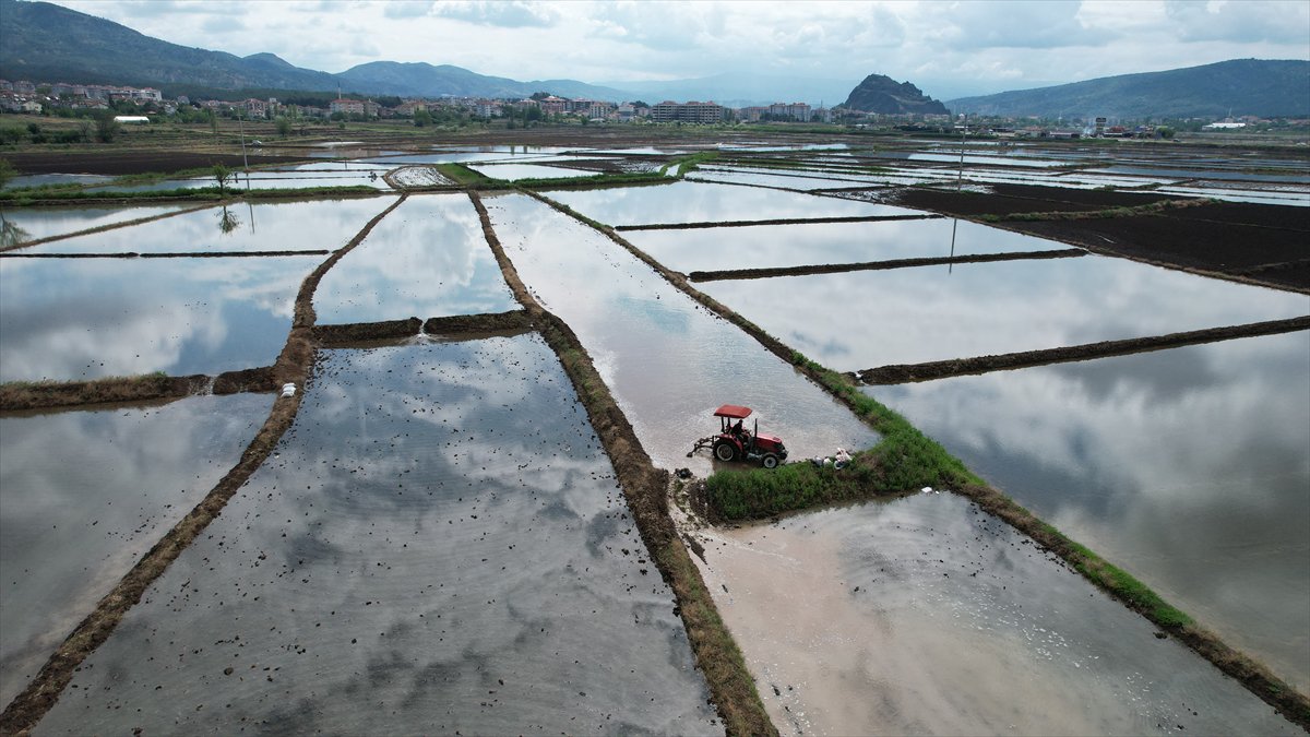 Tarlaları drone'lar ekiyor
