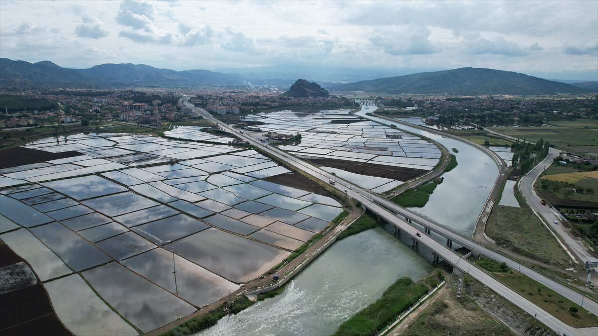 Tarlaları drone'lar ekiyor