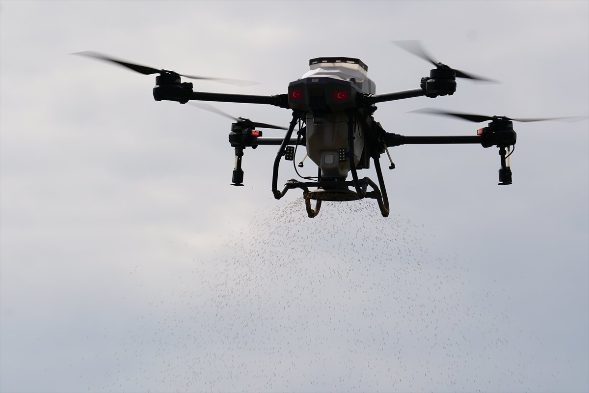 Tarlaları drone'lar ekiyor