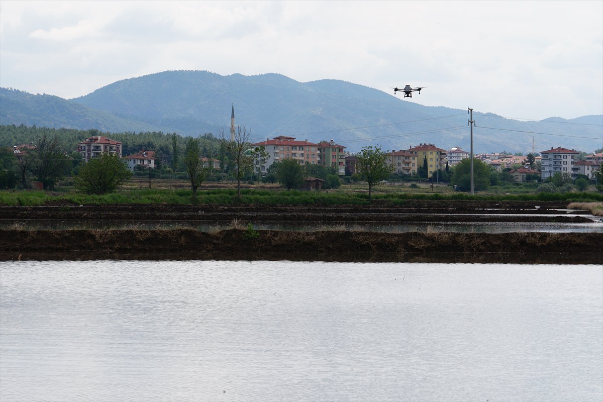 Tarlaları drone'lar ekiyor