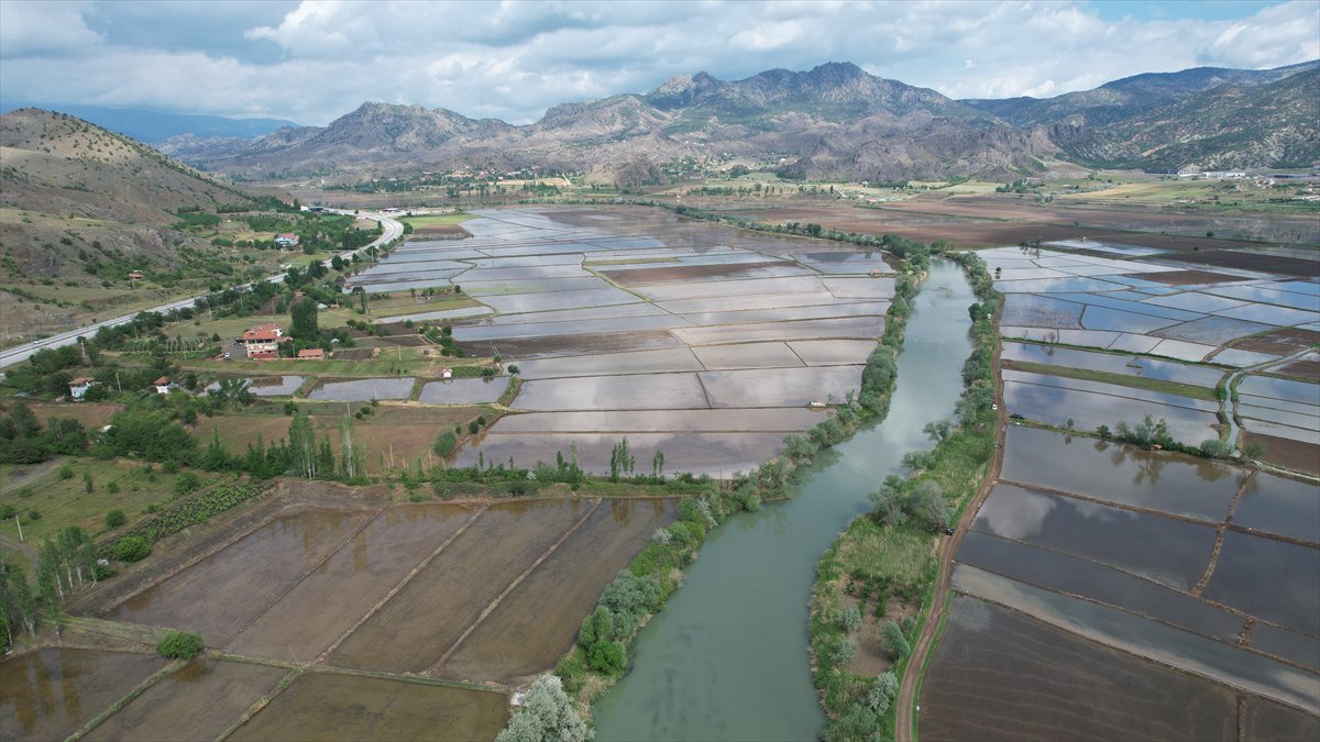 Tarlaları drone'lar ekiyor