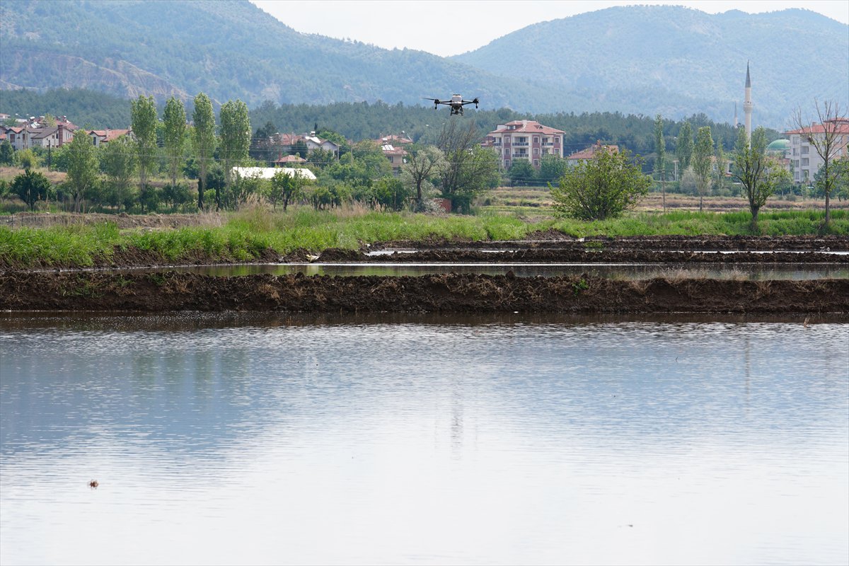 Tarlaları drone'lar ekiyor