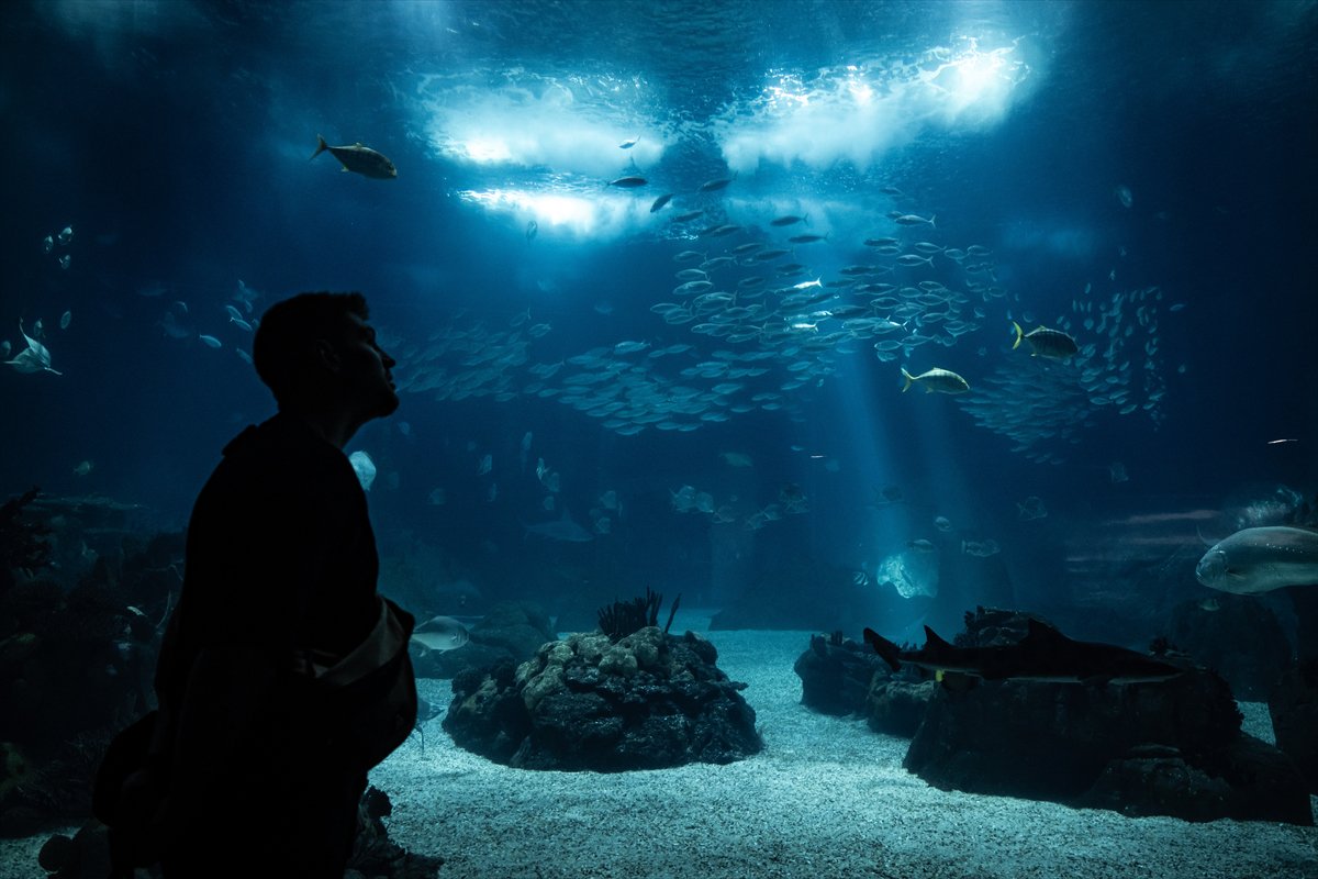 Okyanusun kalbi Lizbon’da atıyor