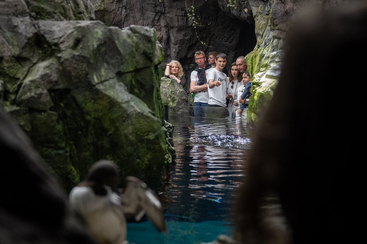 Okyanusun kalbi Lizbon’da atıyor