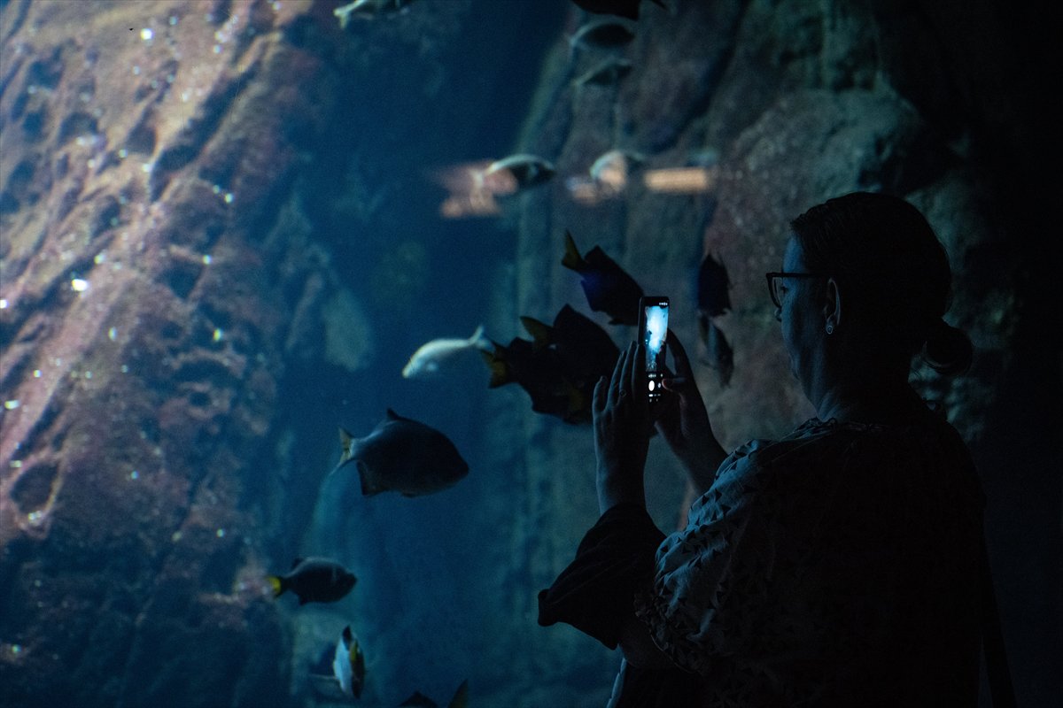 Okyanusun kalbi Lizbon’da atıyor