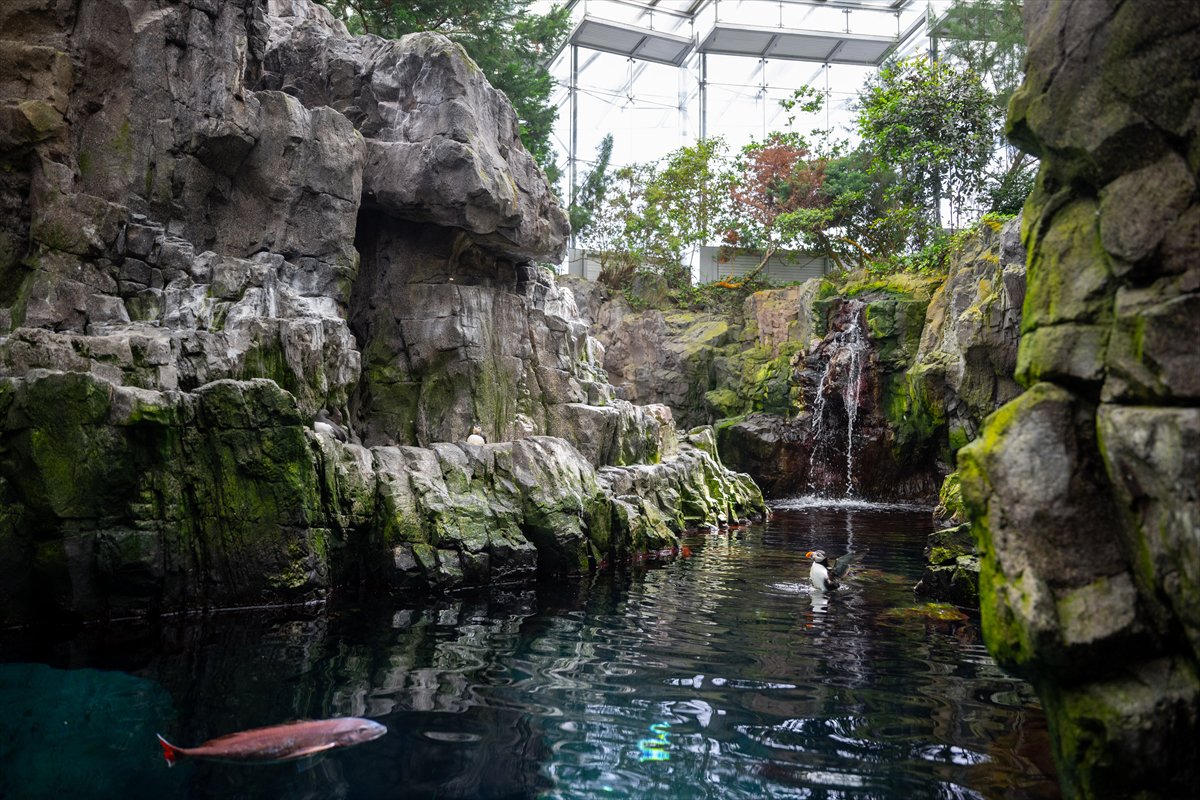 Okyanusun kalbi Lizbon’da atıyor