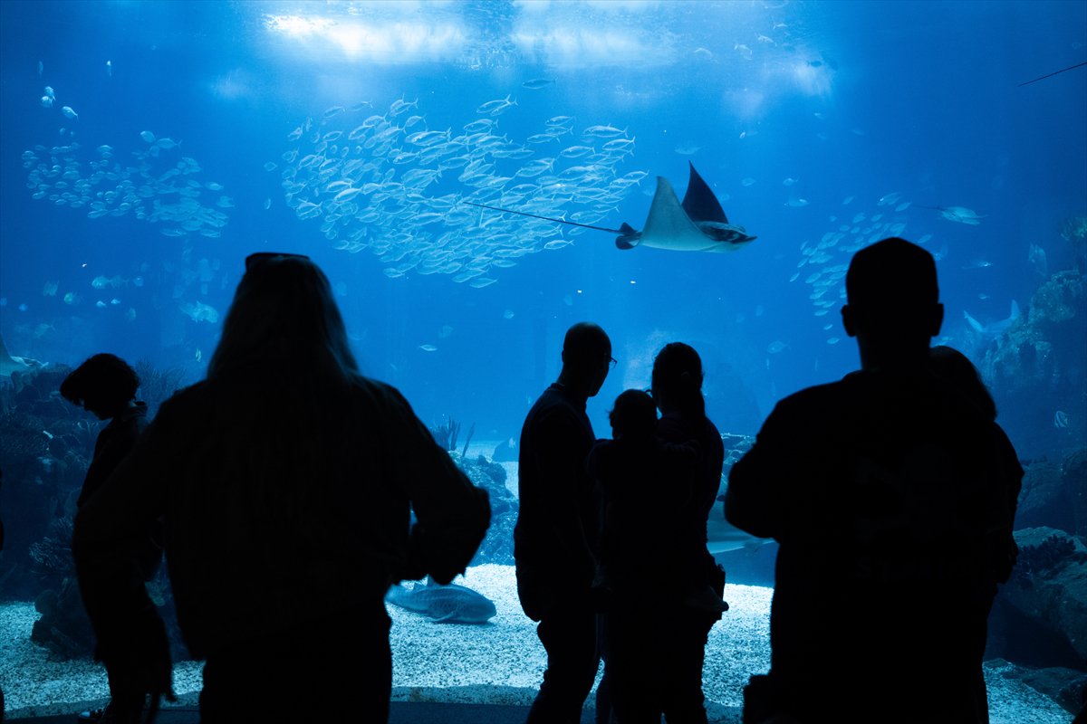 Okyanusun kalbi Lizbon’da atıyor