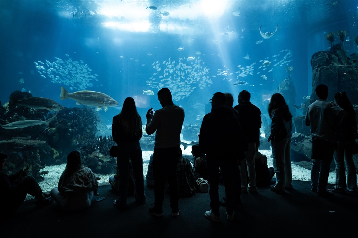 Okyanusun kalbi Lizbon’da atıyor