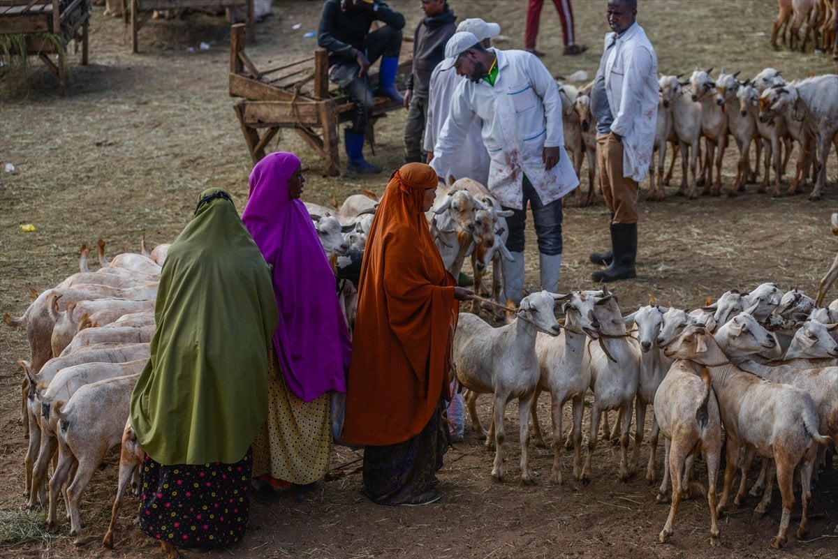 Kenya'da Kurban Bayramı hazırlıkları
