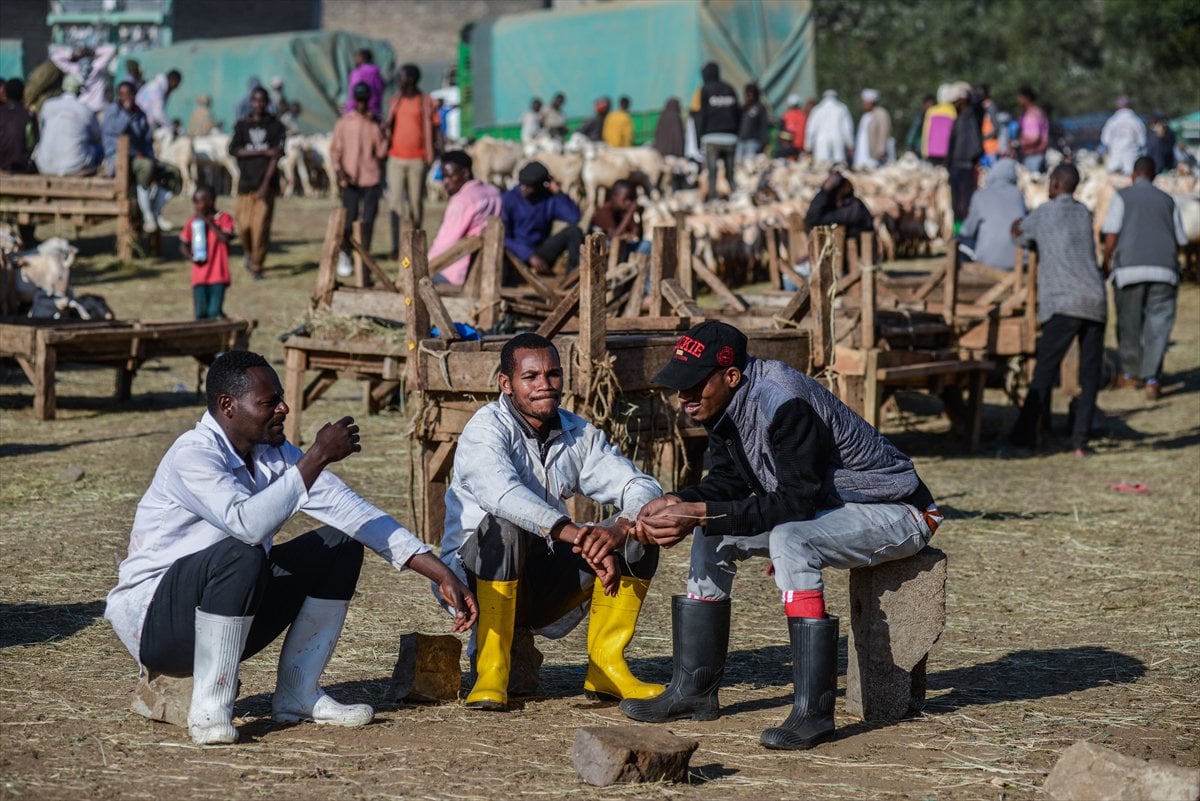 Kenya'da Kurban Bayramı hazırlıkları