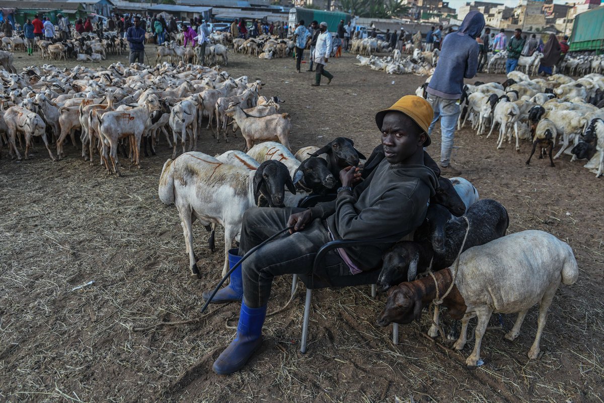 Kenya'da Kurban Bayramı hazırlıkları