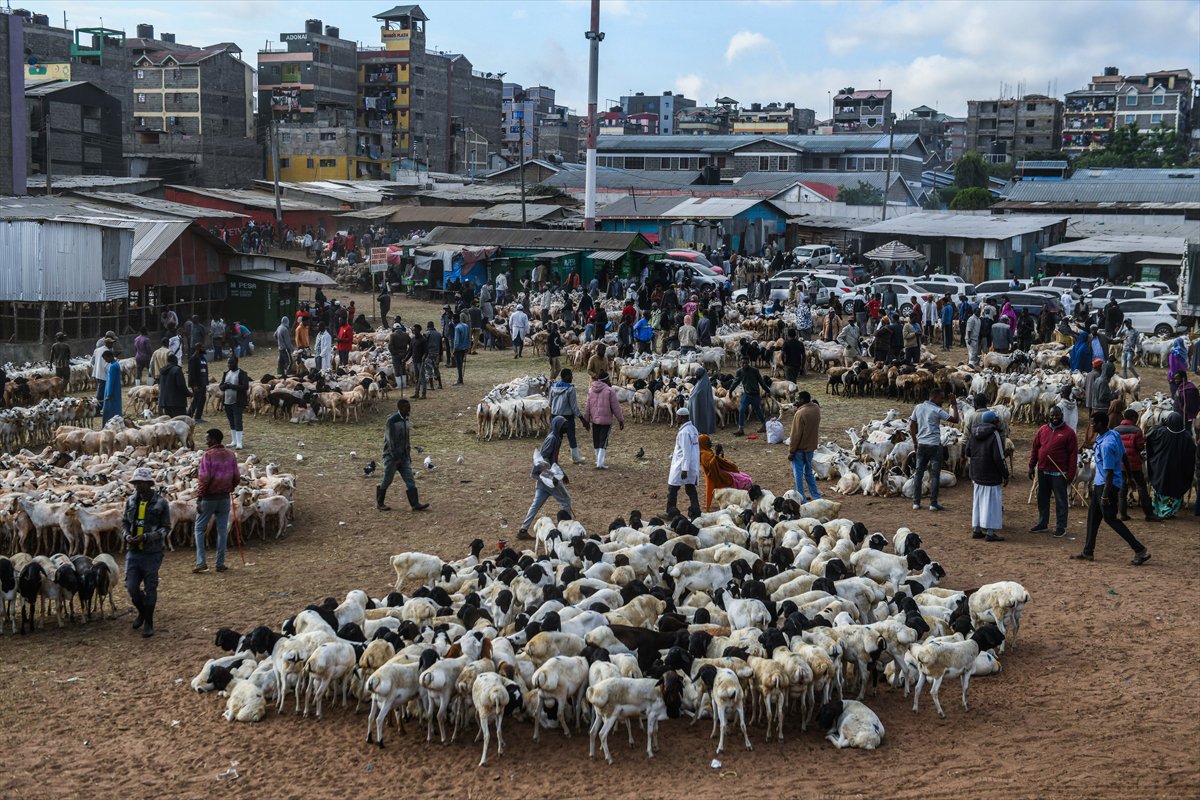 Kenya'da Kurban Bayramı hazırlıkları