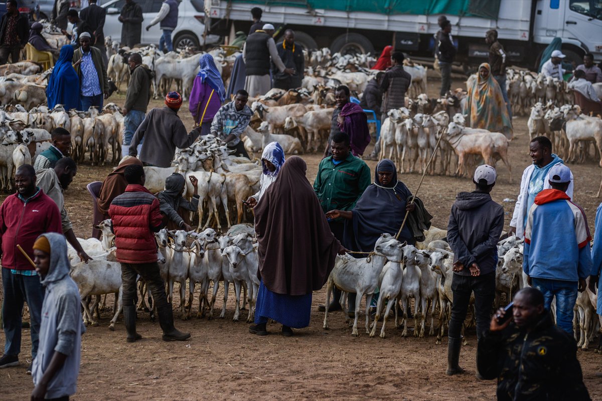 Kenya'da Kurban Bayramı hazırlıkları