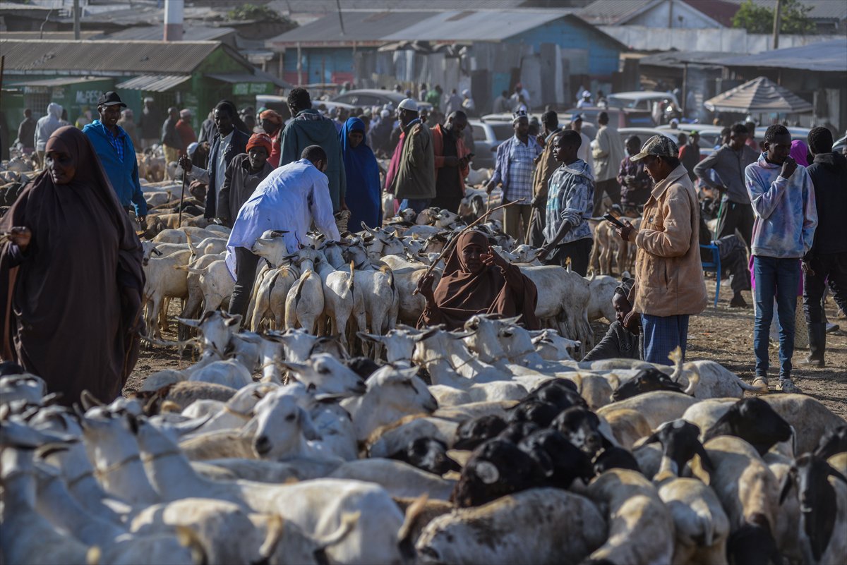 Kenya'da Kurban Bayramı hazırlıkları
