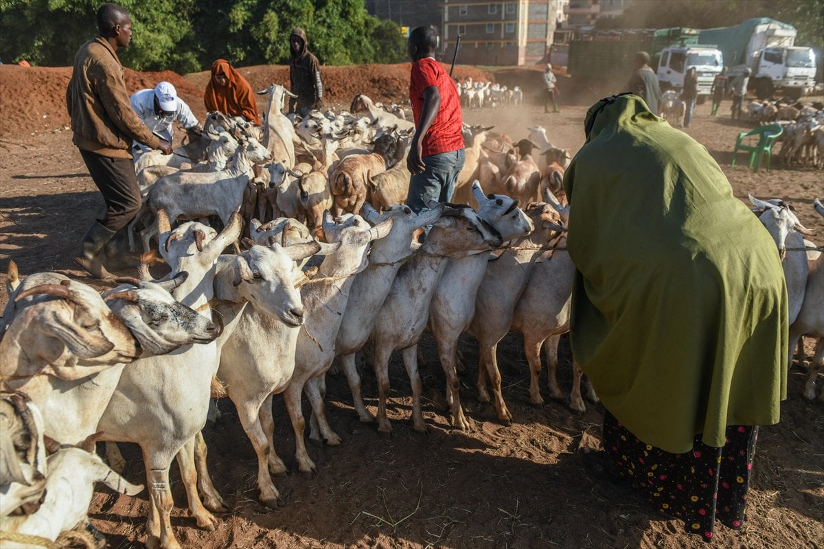 Kenya'da Kurban Bayramı hazırlıkları