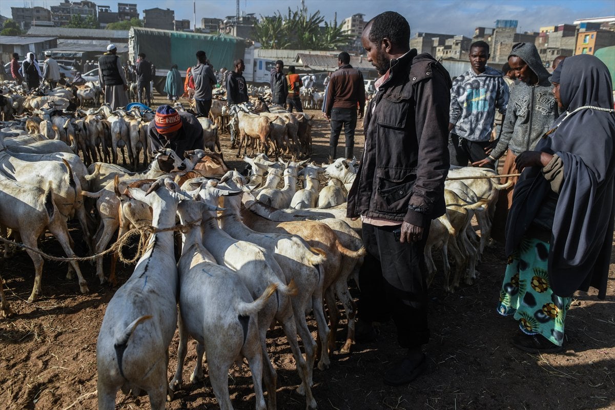 Kenya'da Kurban Bayramı hazırlıkları