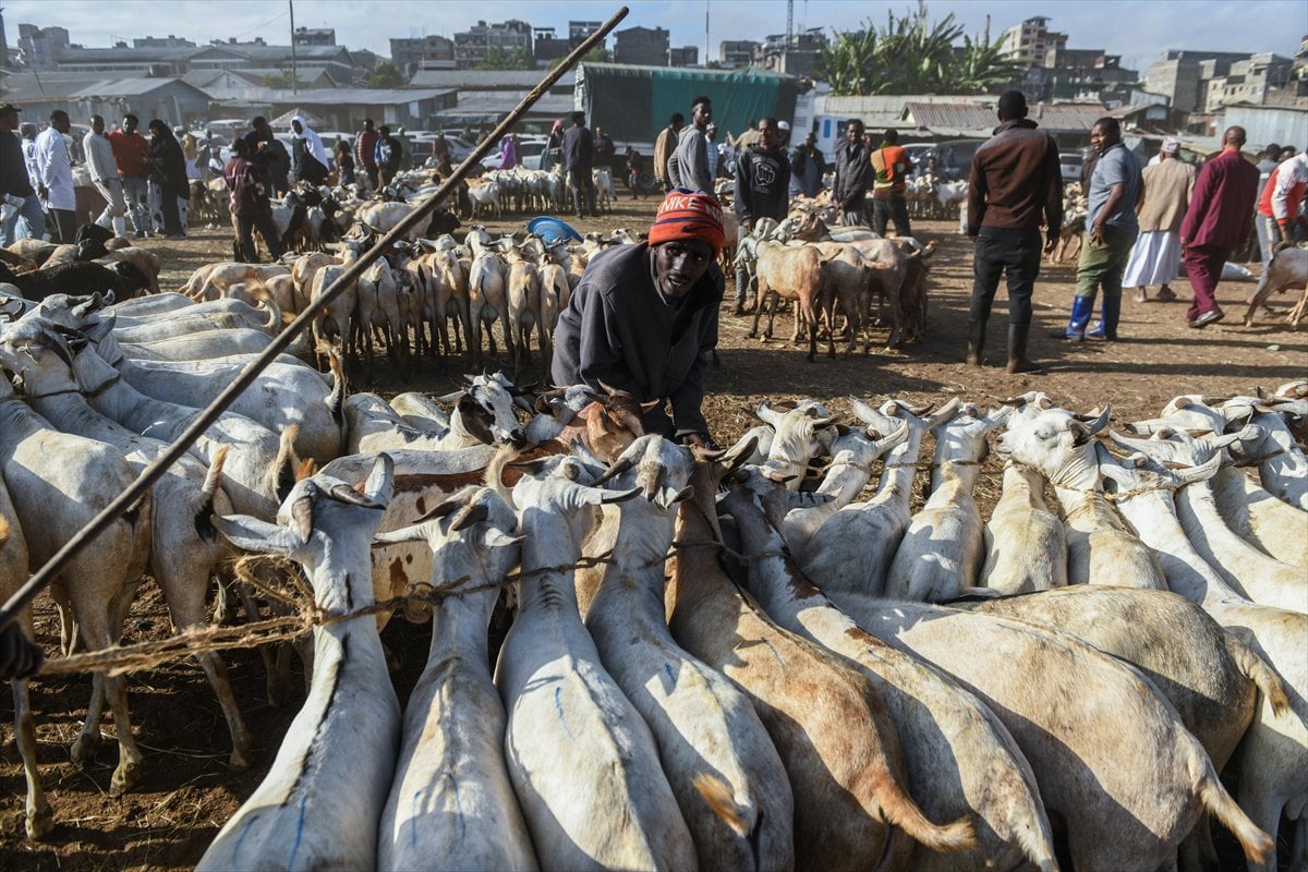 Kenya'da Kurban Bayramı hazırlıkları