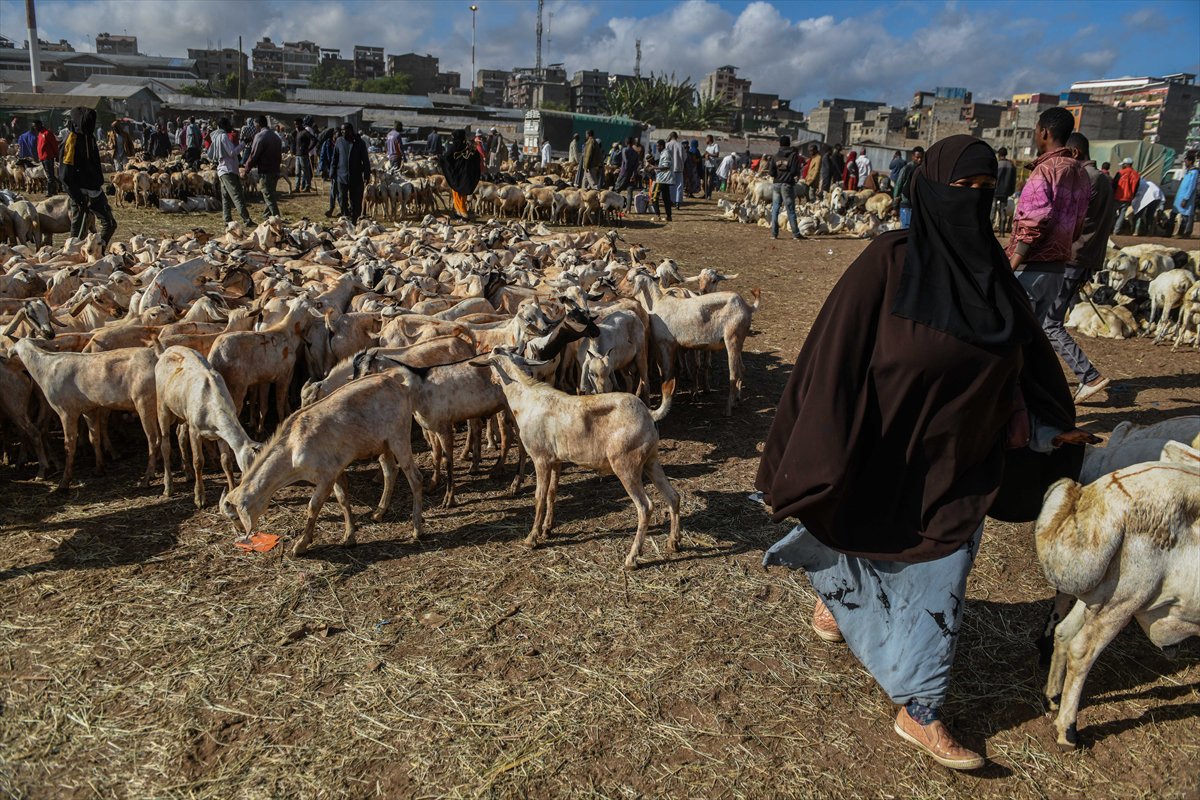 Kenya'da Kurban Bayramı hazırlıkları