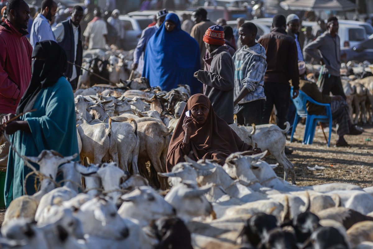 Kenya'da Kurban Bayramı hazırlıkları