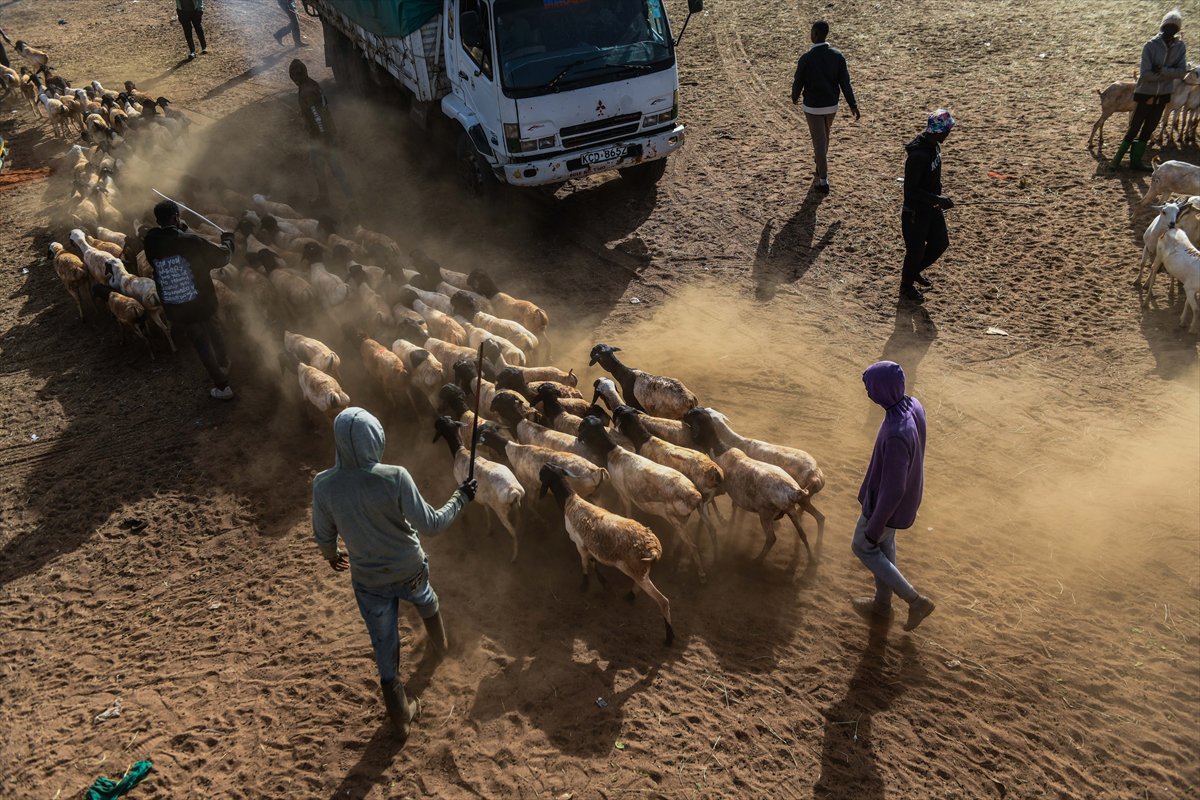 Kenya'da Kurban Bayramı hazırlıkları