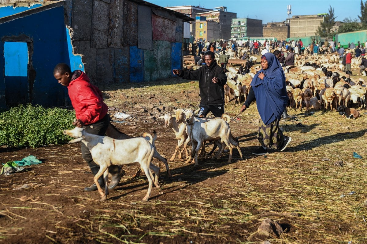 Kenya'da Kurban Bayramı hazırlıkları