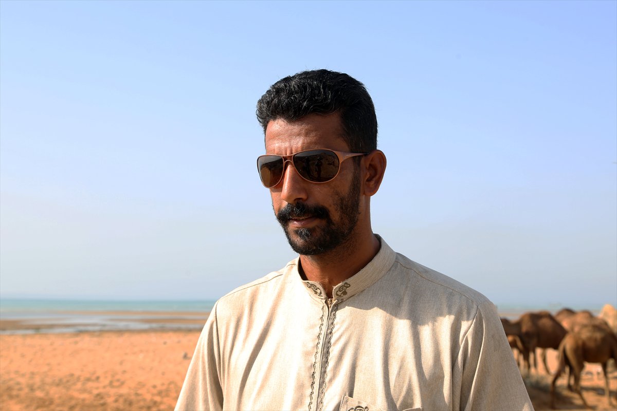 İran’da develerin deniz banyosu geleneği yüzyıllardır yaşatılıyor