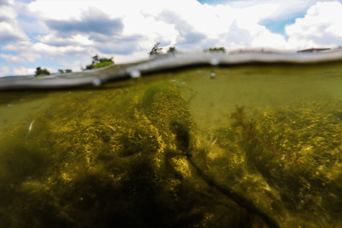 İznik’te 1700 Yıllık su altı bazilikası tarihe ışık tutuyor