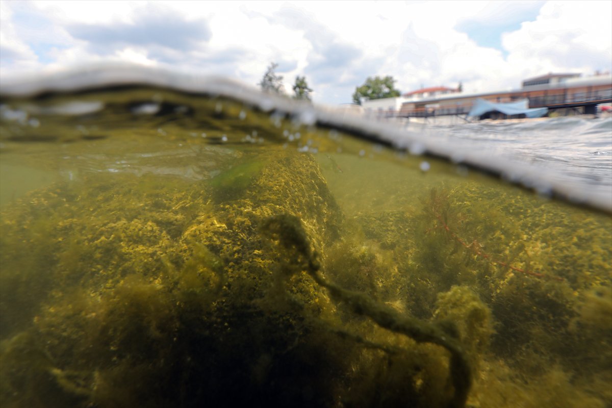 İznik’te 1700 Yıllık su altı bazilikası tarihe ışık tutuyor