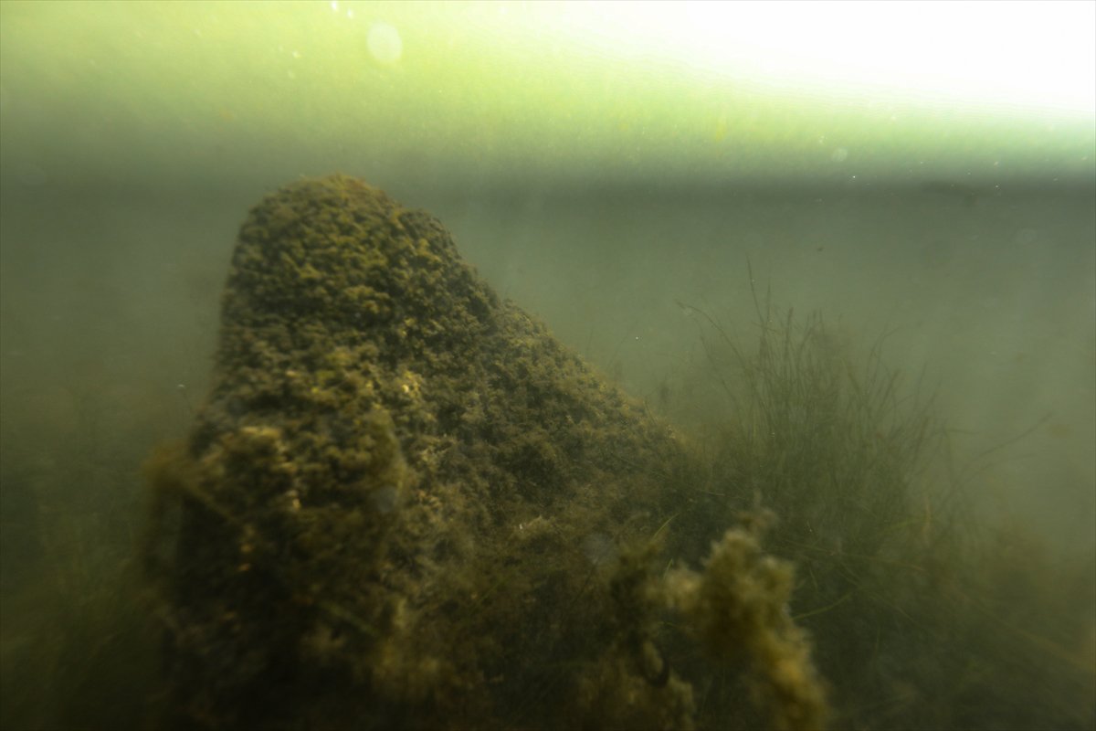 İznik’te 1700 Yıllık su altı bazilikası tarihe ışık tutuyor