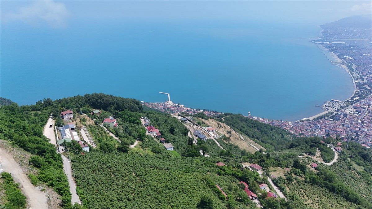Ordu'da yamaç paraşütü heyecanı
