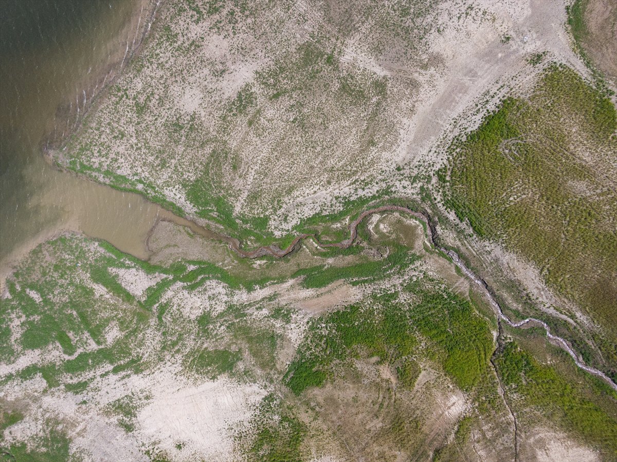 Polonya alarm veriyor, kuraklık su seviyesini dibe çekti