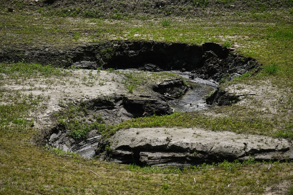 Polonya alarm veriyor, kuraklık su seviyesini dibe çekti