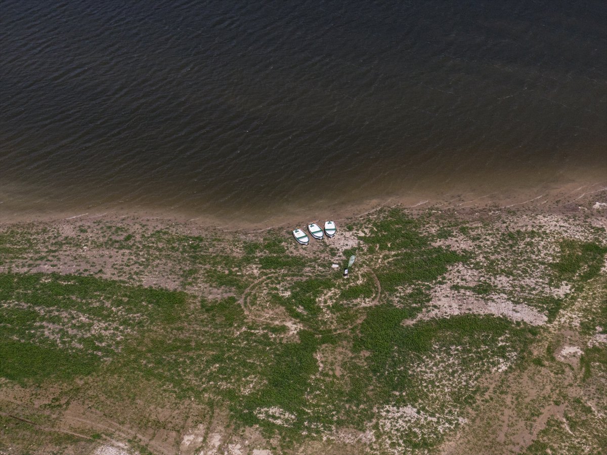 Polonya alarm veriyor, kuraklık su seviyesini dibe çekti