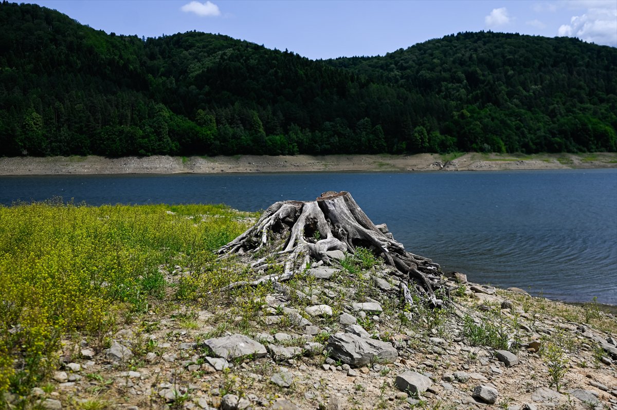 Polonya alarm veriyor, kuraklık su seviyesini dibe çekti